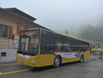 (217'628) - Grindelwaldbus, Grindelwald - Nr.