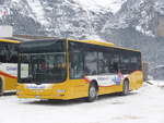 (223'149) - Grindelwaldbus, Grindelwald - Nr.