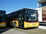 (229'767) - PostAuto Ostschweiz - SG 436'004 - MAN am 23.