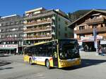 (232'876) - Grindelwaldbus, Grindelwald - Nr.