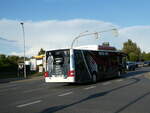 (254'510) - VBG Greifswald HGW-NV 37 - MAN am 31. August 2023 in Greifswald, Am Gorzberg