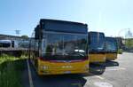 (286'388) - PostAuto Bern - BE 489'253/PID 12'334 - MAN (ex BE 535'079; ex Dr.