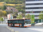 (210'658) - Ruffiner, Turtmann - VS 491'395 - Mercedes (ex Regiobus, Gossau) am 27.