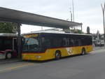 (218'016) - SB Trans, Sursee - Nr.