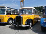 (266'463) - Party-Bus, Grosswangen - LU 30'387 - Berna/R&J (ex Widmer, Aarburg; ex Gutjahr, Pfungen Nr.