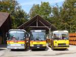 (155'499) - Buzzi, Bern - BE 910'789 - Mercedes (ex Mattli, Wassen) + Barenco, Faido - TI 174 U - NAW/Hess (ex Buzzi, Bern; ex TSB Seelisberg; ex Engeloch, Riggisberg Nr.