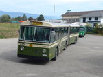 (174'505) - SVB Bern (TVB) - Nr.