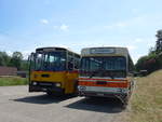 (193'713) - Wegmller, Mnsingen - BE 399'675 - FBW/R&J (ex Bamert, Wollerau) am 3.