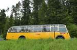 (286'805) - Gast, Reutigen - BE 24'079 - FBW/FHS (ex Nr.