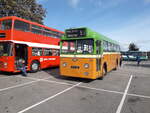 PJX 35
1962 Leyland Leopard L1
Weymann B42F
New to Halifax Corporation, fleet number 35.

Photographed whilst taking part in the Aire Valley Transport Group Running Day, 10th October 2021, at Skipton, North Yorkshire, United Kingdon.

A very nice example of an early Leyland Leopard, well preserved by the Dewsbury Bus Museum (https://www.dewsburybusmuseum.org/halifax-35/4542492638)