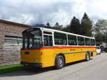 (184'983) - Schmid, Thrishaus - BE 26'206 - Saurer/Tscher (ex P 24'244) am 16.