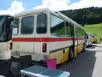 (239'201) - Pfluger, Unterkulm - AG 38'502 - Saurer/Tscher (ex Rllin, Regensdorf; ex P 24'272) am 20. August 2022 in Wildhaus, Munzenriet