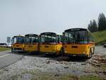 (239'826) - Schmid, Thrishaus - BE 26'206 - Saurer/Tscher (ex P 24'244) am 28.