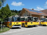 (239'868) - Roth, Zrich - SH 36'376 - Saurer/Tscher (ex Looser, Elm; ex Mattli, Wassen) am 28.