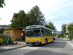 (255'339) - Wanner, Schleitheim - SH 48'096 - Saurer/Hess (ex Ruklic, Schaffhausen; ex VBSH Schaffhausen Nr.