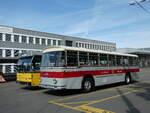 (255'364) - Borer, Neuhausen - Nr. 7/SH 19'684 - Saurer/Tscher (ex Heiniger, Btzberg; ex ASS Schleitheim Nr. 22; ex ASS Schleitheim Nr. 7) am 17. September 2023 in Schaffhausen, Depot VBSH