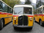 (268'174) - Schmid, Thrishaus - Nr. 3/BE 26'760 - Saurer/Gangloff (ex Geiger, Adelboden Nr. 3) am 12. Oktober 2024 in Kiental, Tschingel