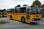 (281'470) - Ruklic, Schaffhausen - SH 17'473 - Saurer/Tscher (ex Schett, Sargans PID 2762) am 12.