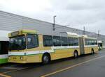 (267'608) - transN, La Chaux-de-Fonds - Nr. 117 - NAW/Hess Gelenktrolleybus (ex TN Neuchtel Nr. 117) am 1. Oktober 2024 in Marin, Dpt