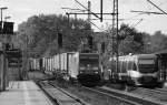 30 min spter trafen sich 185 326-3 mit dem Geest/Van Dieren und VT 729(643 119)als NOB 82916 Richtung Husum im Schleswiger Bhf. 19.5.11