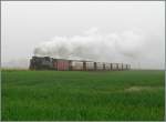 Ein  Molli  Dampfzug kämpft sich durch den dichten Ostsee-Nebel.