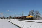 212 306 der  Bahnbau-Gruppe  war am 6. April 2021 mit drei Schttgutwagen bei bersee am Chiemsee in Richtung Freilassing unterwegs.