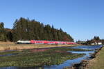 218 446 mit einem Regionalzug aus Mnchen kommend am 21.