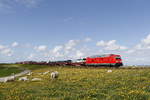 245 021 mit einem  Sylt-Shuttle  am 13.