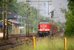 Es qualmte oben und unten als es für den DGS 95192 nach gut 45min weiterging, Zielbahnhof ist Jübek. Schleswig 05.06.2014