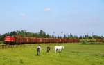 1202 241-6 mit dem zweiten Teil des Holzzuges am Beginn der Strecke nach Husum, aufgenommen vom Bü Sollbrück I. Jübek 06.06.2014