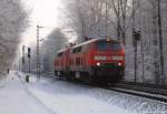 218 339-0 und 218 329-1 dieseln am 20.12.10 gemeinsam durch den Prisdorfer Wald.