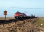 218 381-2 und 218 313-5 dieseln am 13.3.10 mit dem Syltshuttle nach Niebll beim Kilometer 214,4 am Fuzzi vorbei.