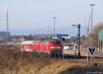 218 379-6 und 218 363-0 stehen am 29.1.11 leicht von der Natur verdeckt mit einem Syltshuttle nach Niebll an der Verladung Westerland (Sylt).