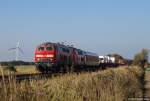 218 374-7 und 218 376-2 fahren am 9.10.10 mit dem Syltshuttle aus Westerland (Sylt) bei Klanxbll durch die Landschaft gen Niebll.