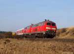 218 314-3 und 218 322-6 fahren am 2.4.11 mit dem Syltshuttle nach Niebll am im Gras hockenden Fuzzi vorbei gen Festland.