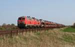 218 381-2 und 218 371-3 dieseln am 23.4.11 bei Klanxbll mit dem Syltshuttle nach Westerland (Sylt) durch die weite, verlassen Landschaft und streben der Insel Sylt entgegen.