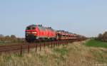 Mit dem Syltshuttle nach Westerland (Sylt) am Haken dieseln 218 344-0 und 218 380-4 am 23.4.11 bei Klanxbll am Fuzzi vorbei.