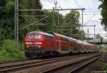 218 339-0 dieselt am 25.6.11 mit dem RE aus Kiel/Puttgarden nach Hamburg Hbf. bei Wandsbek zusammen mit 218 465-3 an mir vorbei.