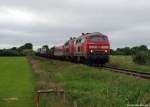 218 313-5 und 218 342-4 dieseln am 4.7.11 mit dem Syltshuttle nach Niebll am B Sderende durch die Landschaft.