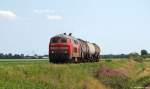 218 307-7 dieselt am Mittag des 7.7.11 mit dem Syltshuttle-ler von Hemmingstedt nach Westerland (Sylt) bei Niebll durch die Felder.