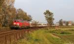 218 374-7 und 218 389-5 dieseln am 29.10.11 mit dem IC 2311 nach Stuttgart Hbf. bei Wilster durch die Landschaft.