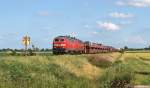 218 344-0 und 218 314-3 dieseln am 11.7.11 mit dem Syltshuttle nach Westerland (Sylt) bei Niebll durch die Landschaft.