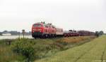 218 314-3 und 218 376-2 dieseln am 3.7.11 mit dem Syltshuttle nach Niebll beim Gotteskoog durch die Landschaft.