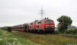 218 313-5 und 218 342-4 dieseln am 3.7.11 mit dem Syltshuttle nach Westerland (Sylt) bei Niebll weiter gen Insel Sylt.