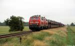 218 380-4 und 218 344-0 dieseln am 3.7.11 mit einem Syltshuttle nach Westerland (Sylt) bei Niebll weiter gen Nordseeinsel.