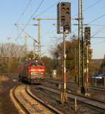 218 344-0 mit Schwesterlok bei der Durchfahrt in Schleswig. Die Loks kamen aus Flensburg von CNL nach Kopenhagen und fahren direkt nach Hamburg Hbf. 28.10.12