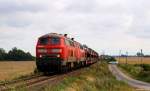 Mit dem Syltshuttle nach Westerland (Sylt) fuhren 218 319-2 & 311-9 am 4.8.12 durch den Kreuzungsbahnhof Lehnshallig und strebten weiter gen Insel Sylt.