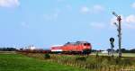Mit dem Syltshuttle nach Niebüll am Haken fuhren 218 311-9 & 345-7 am 13.9.14 bei Lehnshallig durch die weite, norddeutsche Landschaft.