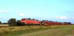 Mit dem Syltshuttle nach Westerland (Sylt) dieseln 218 341-6 & 359-8 am Abend des 12.9.14 bei Lehnshallig durch die Felder und Wiesen.