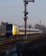 Auch hier eine Aufnahme mit dem Flgelsignal am Tinnumer Bahnbergang und der 223 015-9 mit der NOB nach Hamburg. 29.1.11